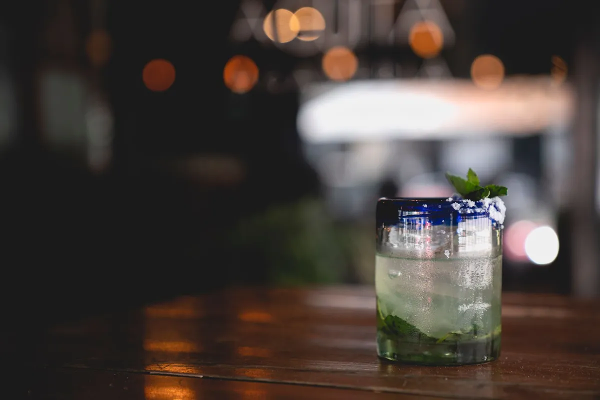 A beautifully crafted mint cocktail with a salted rim, perfect for a refreshing evening drink.